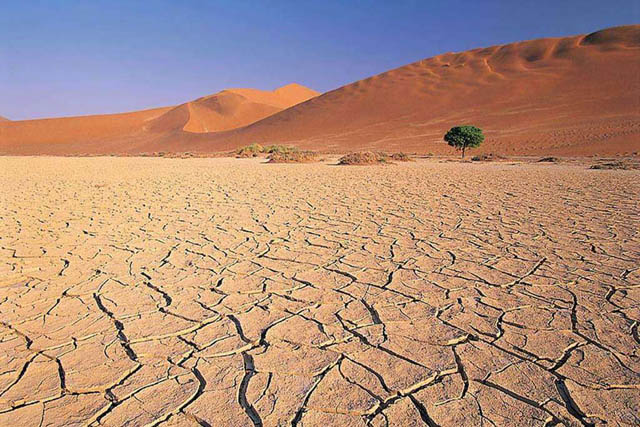 Image d'un désert